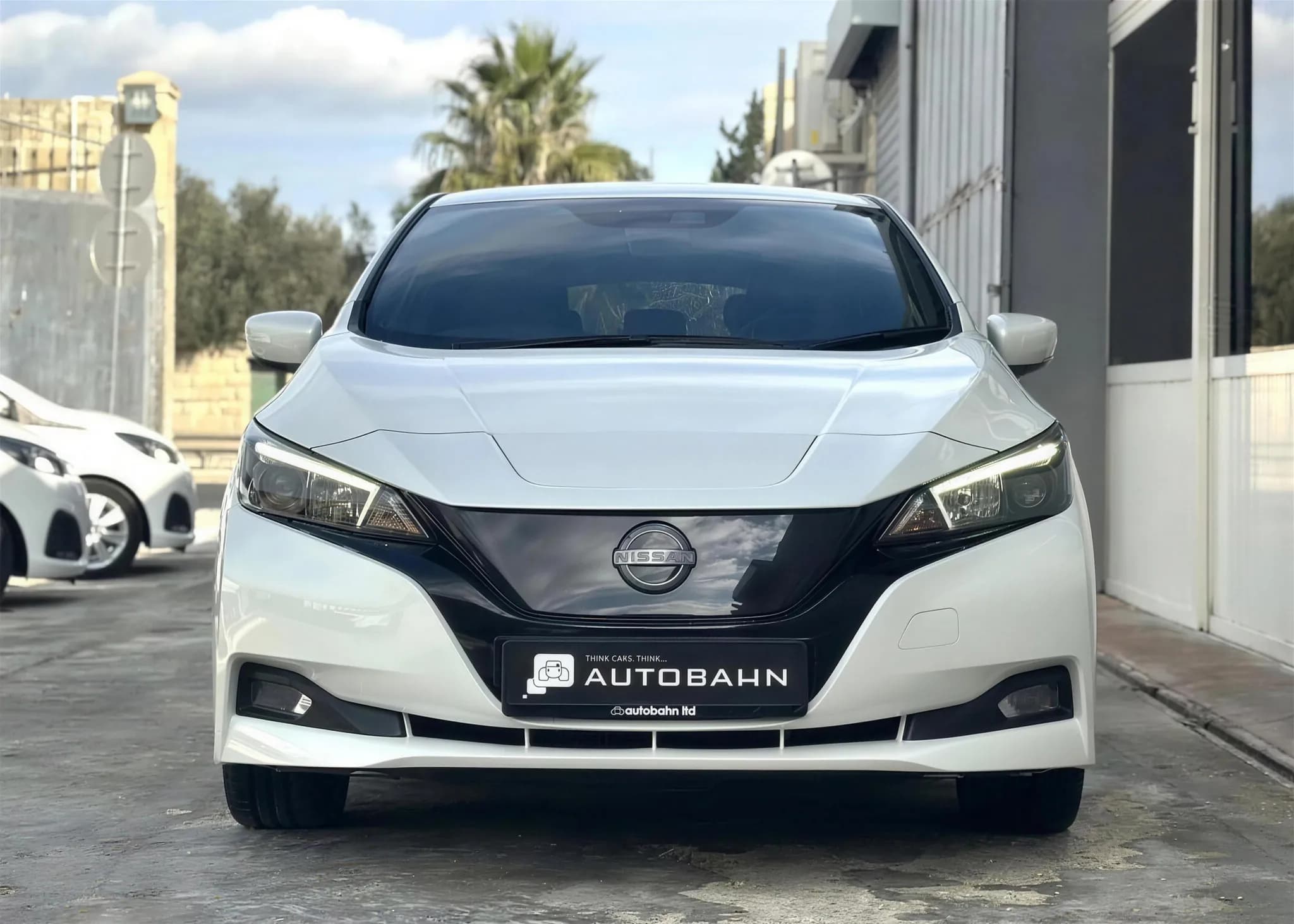 Electric Future